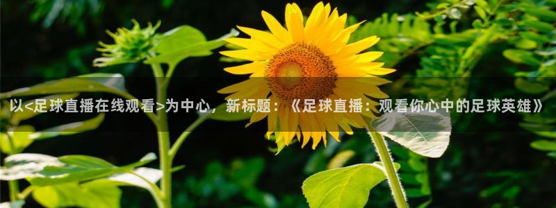 以<足球直播在线观看>为中心，新标题：《足球直播：观看你心中的足球英雄》