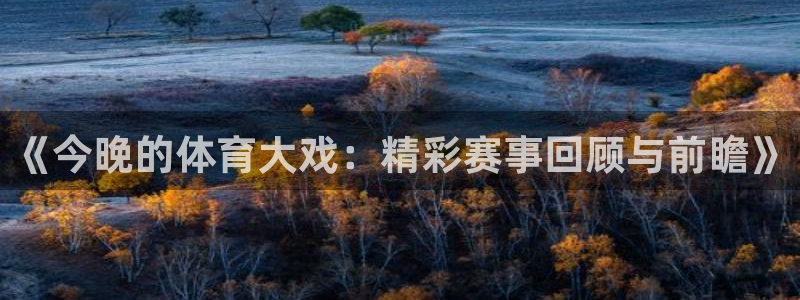 《今晚的体育大戏：精彩赛事回顾与前瞻》