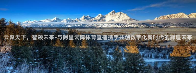 云聚天下，智领未来-与阿里云博体育直播携手共创数字化新时代的辉煌未来