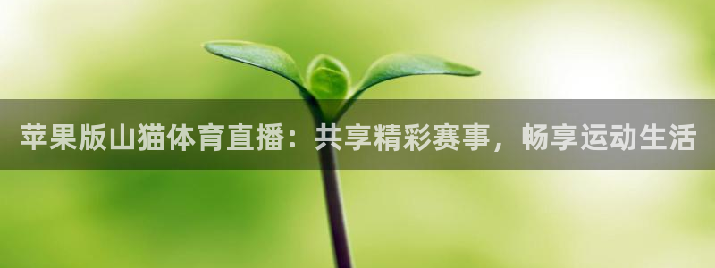 苹果版山猫体育直播：共享精彩赛事，畅享运动生活