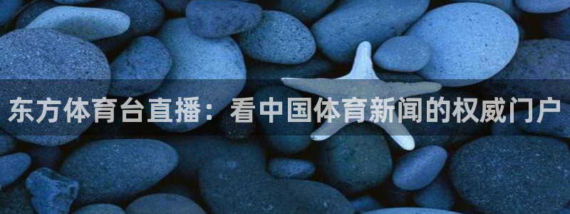 东方体育台直播：看中国体育新闻的权威门户